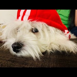 Meet your Posher, Hasib